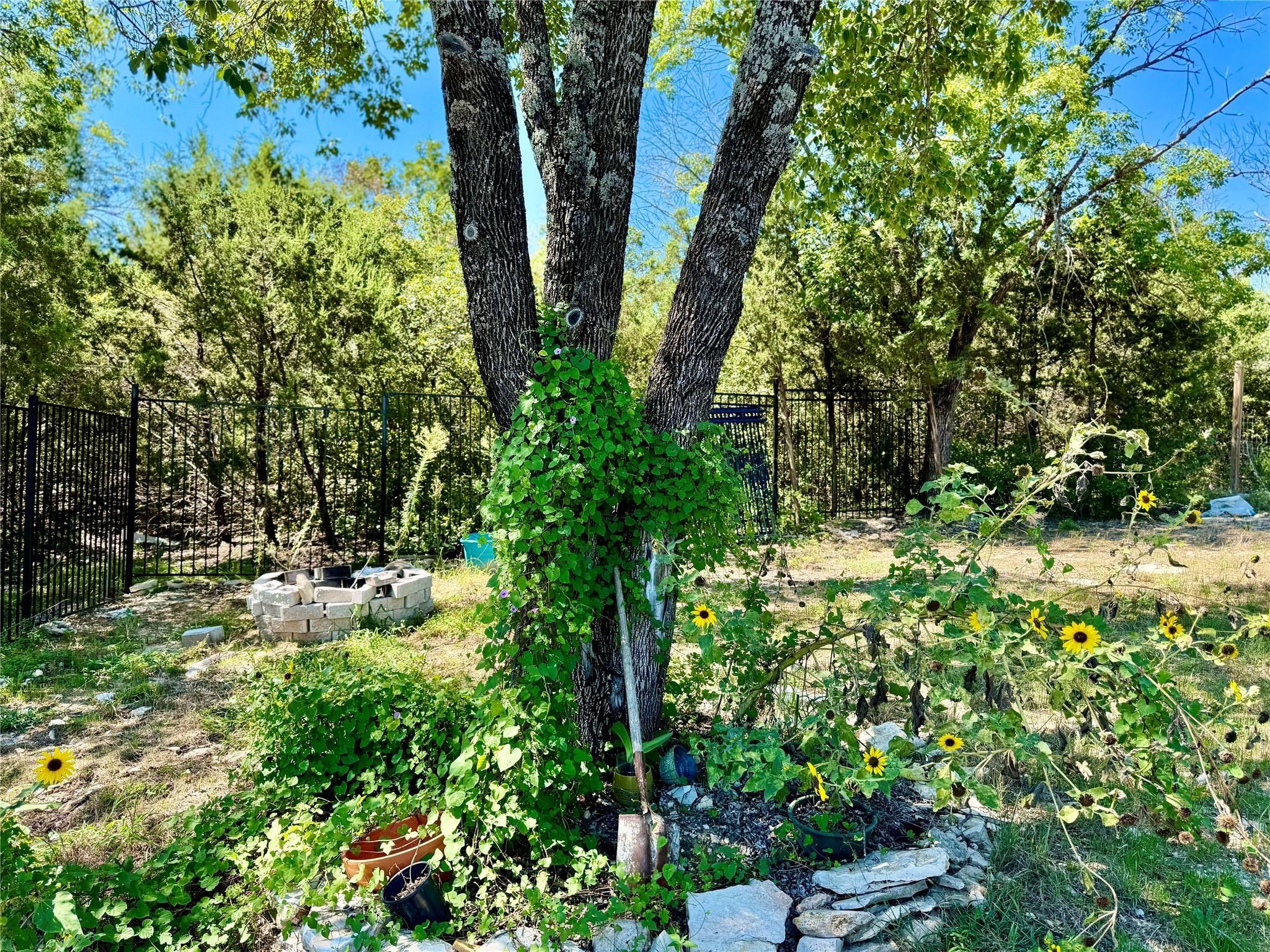 main property photo 30