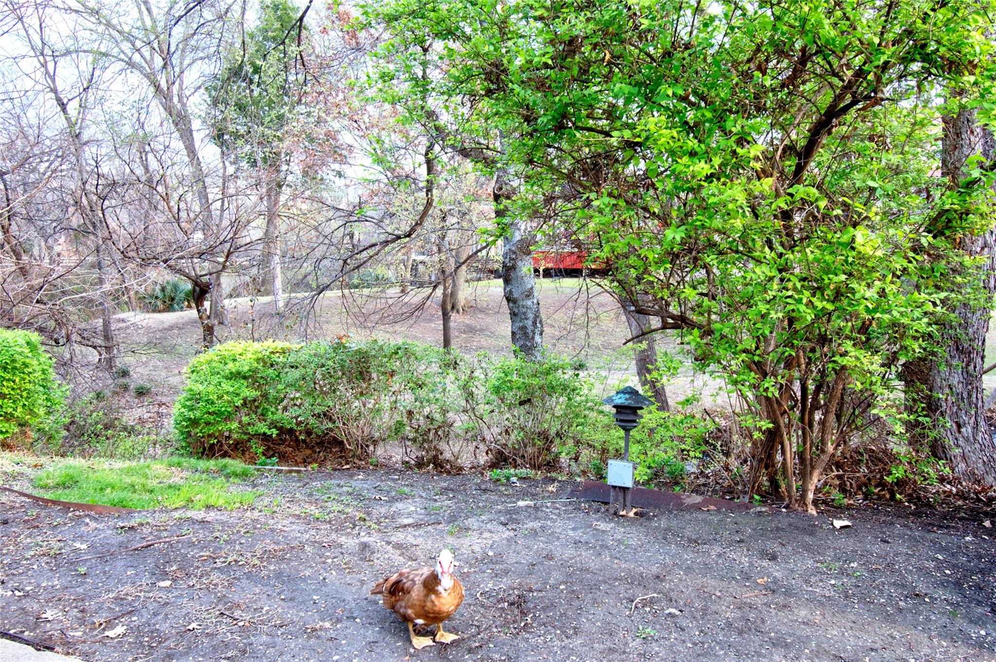 main property photo 23