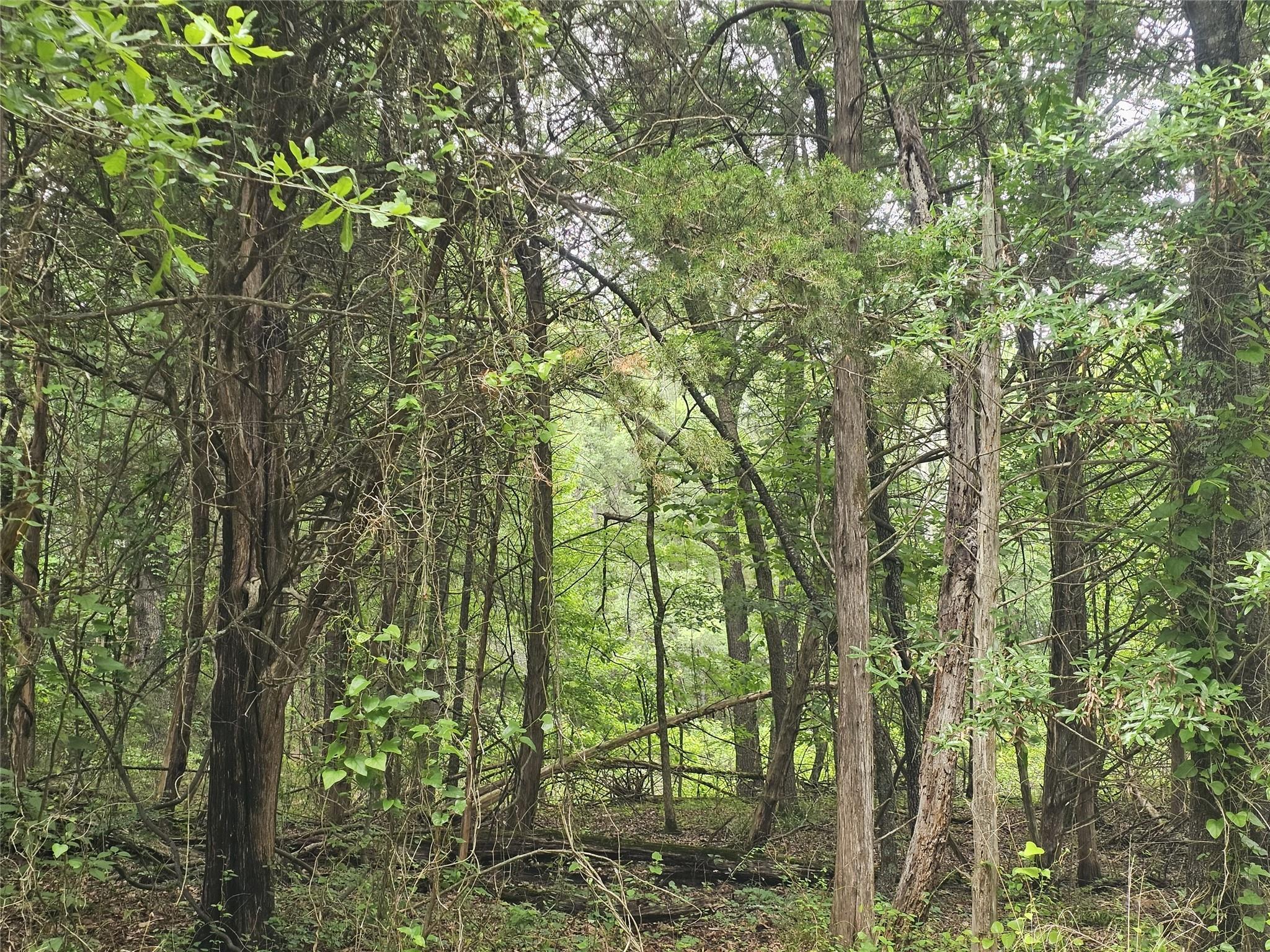 main property photo 29