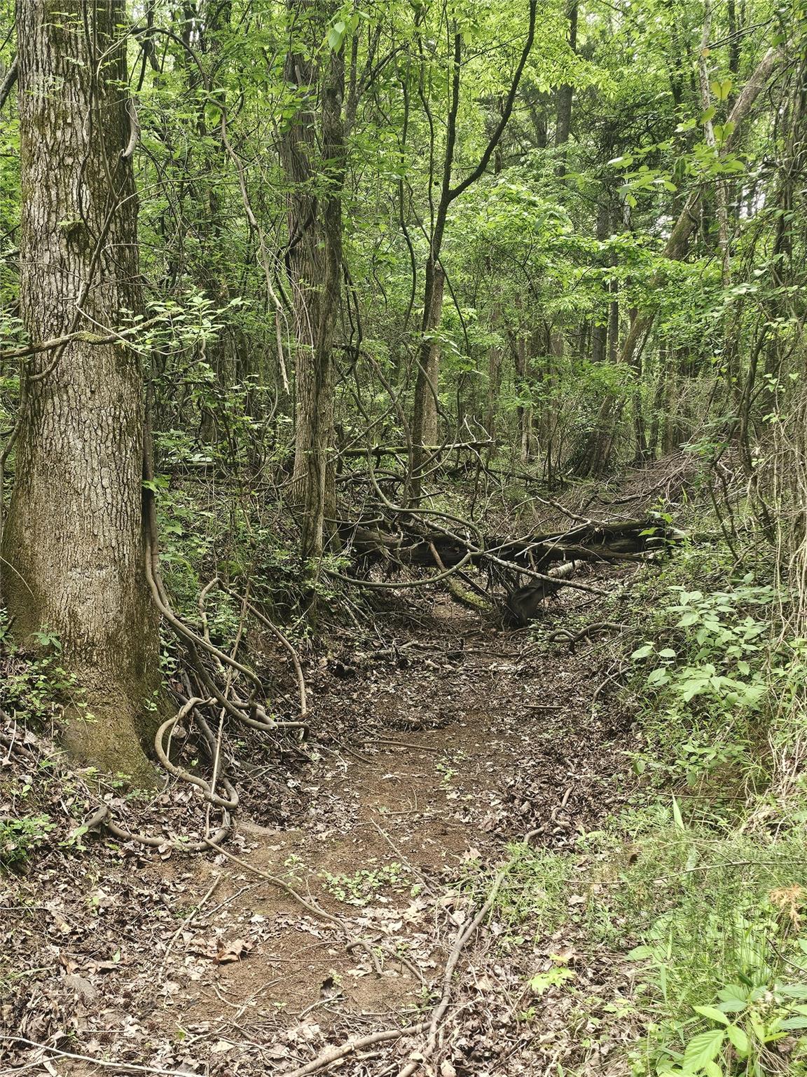 main property photo 31
