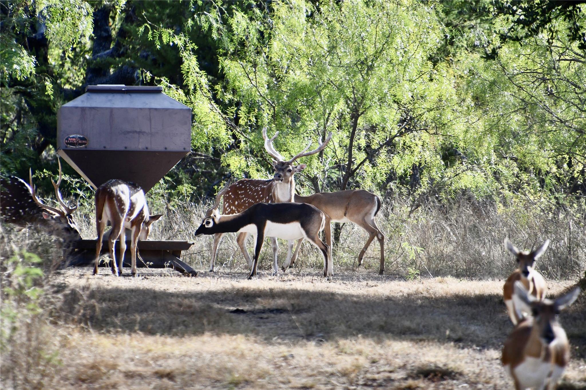 main property photo 9