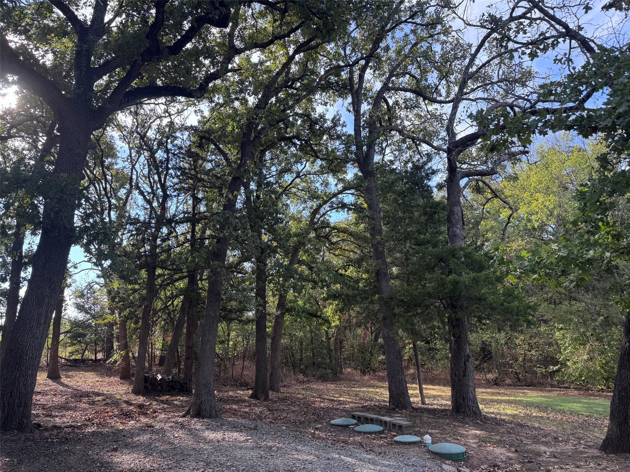 main property photo 29