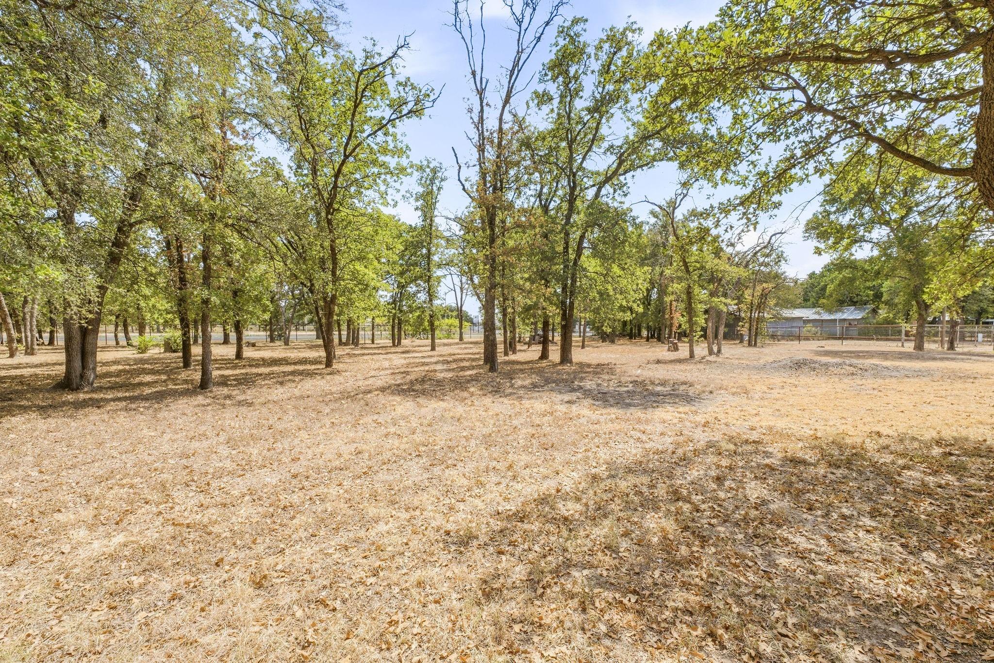 main property photo 35