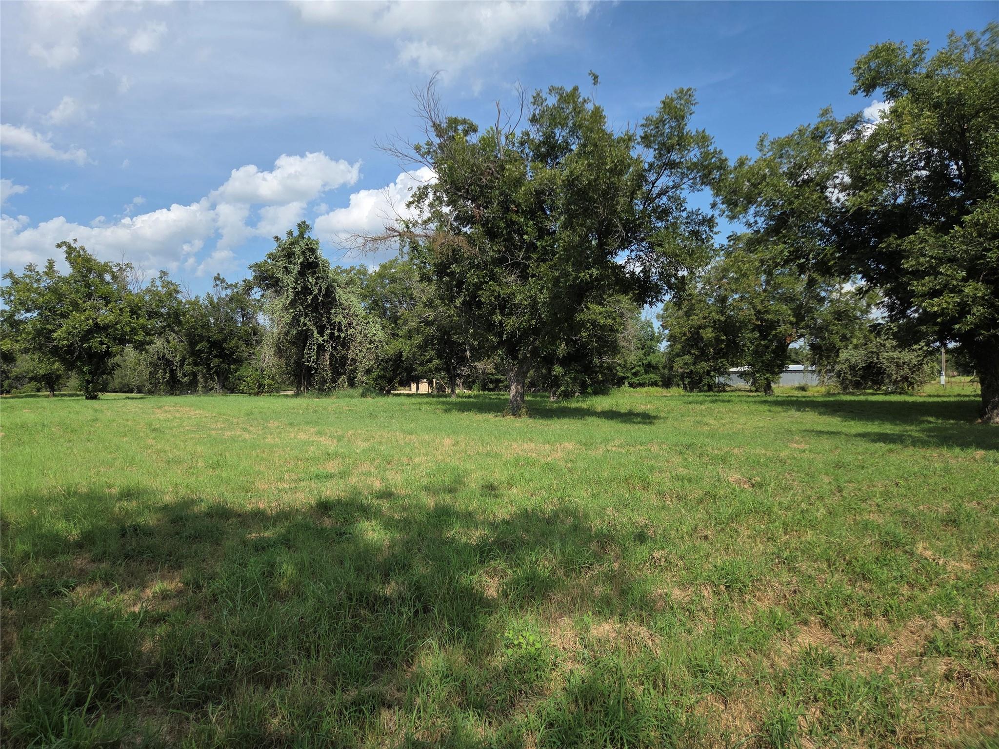 main property photo 4