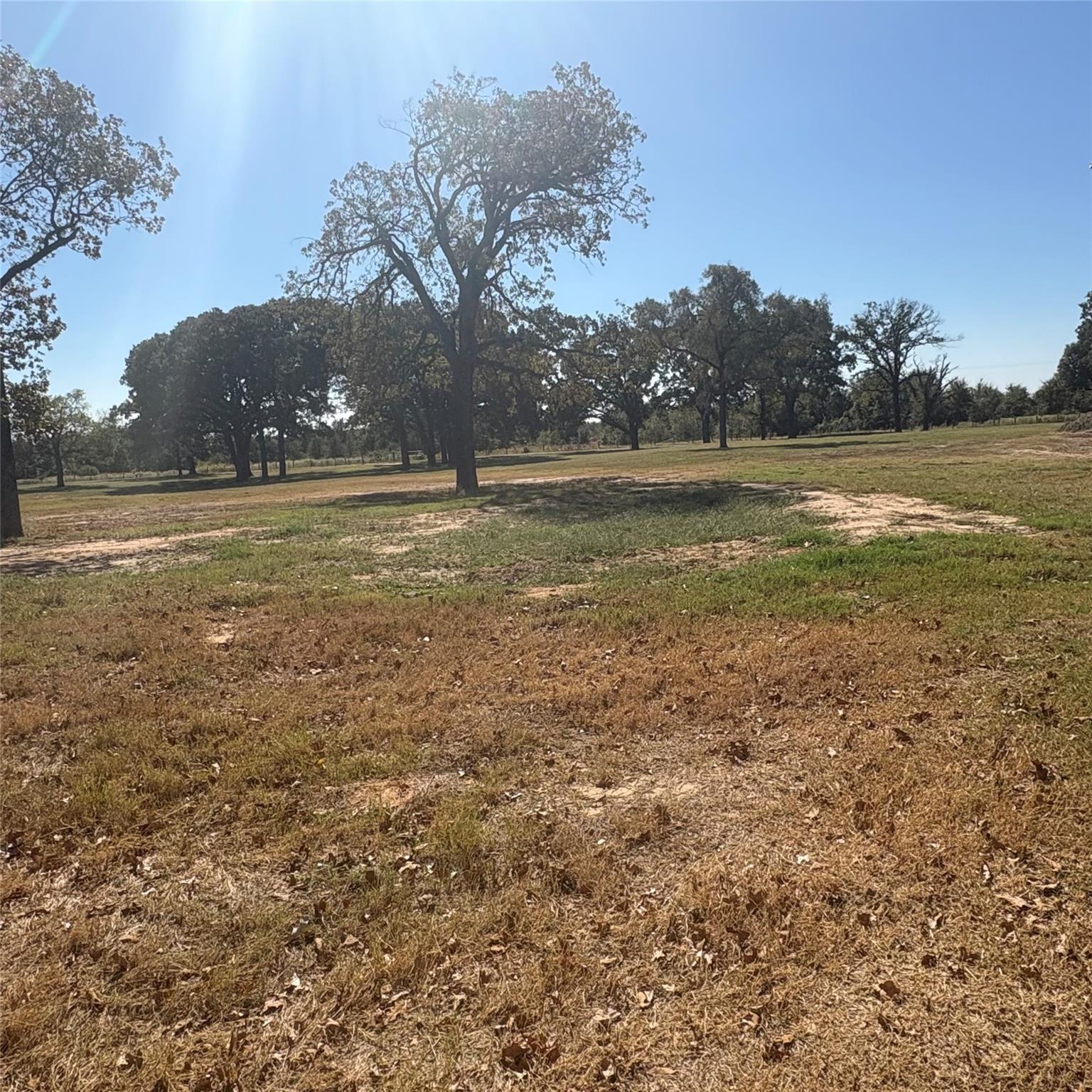 main property photo 11