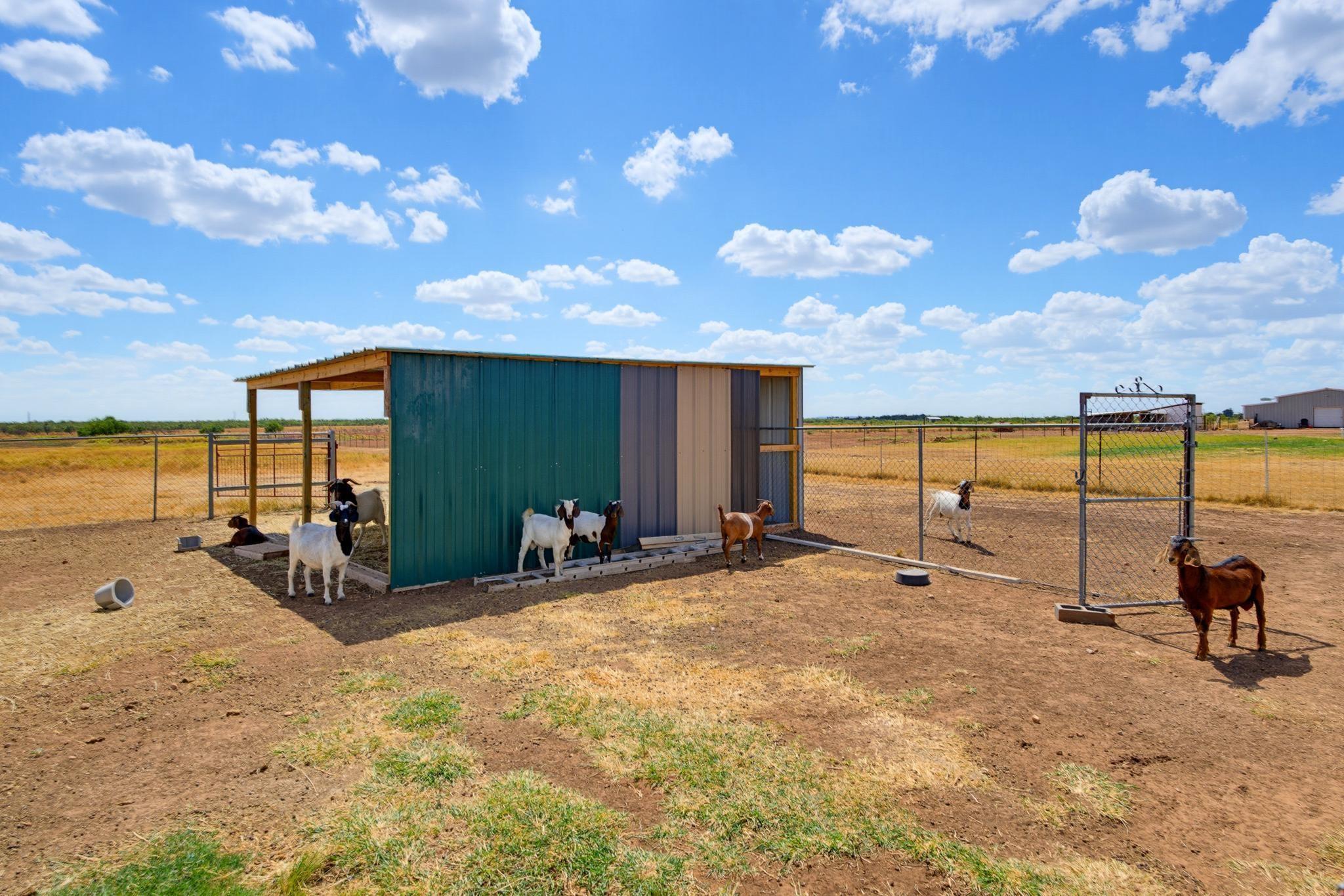 main property photo 33
