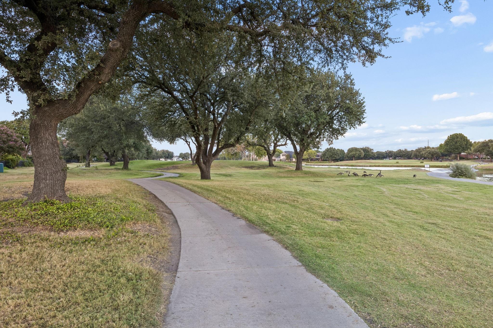 main property photo 33