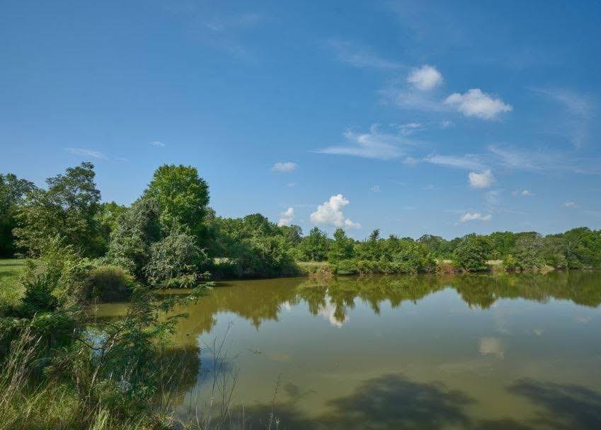 main property photo 38