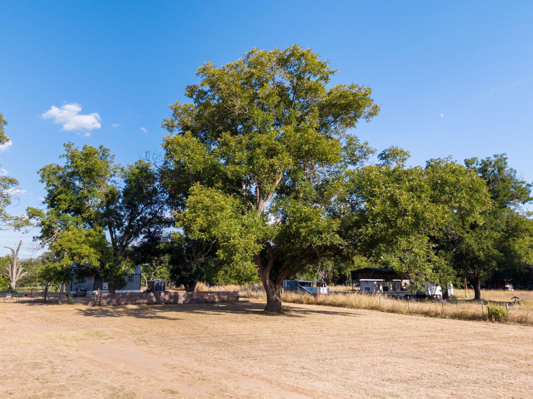 main property photo 21