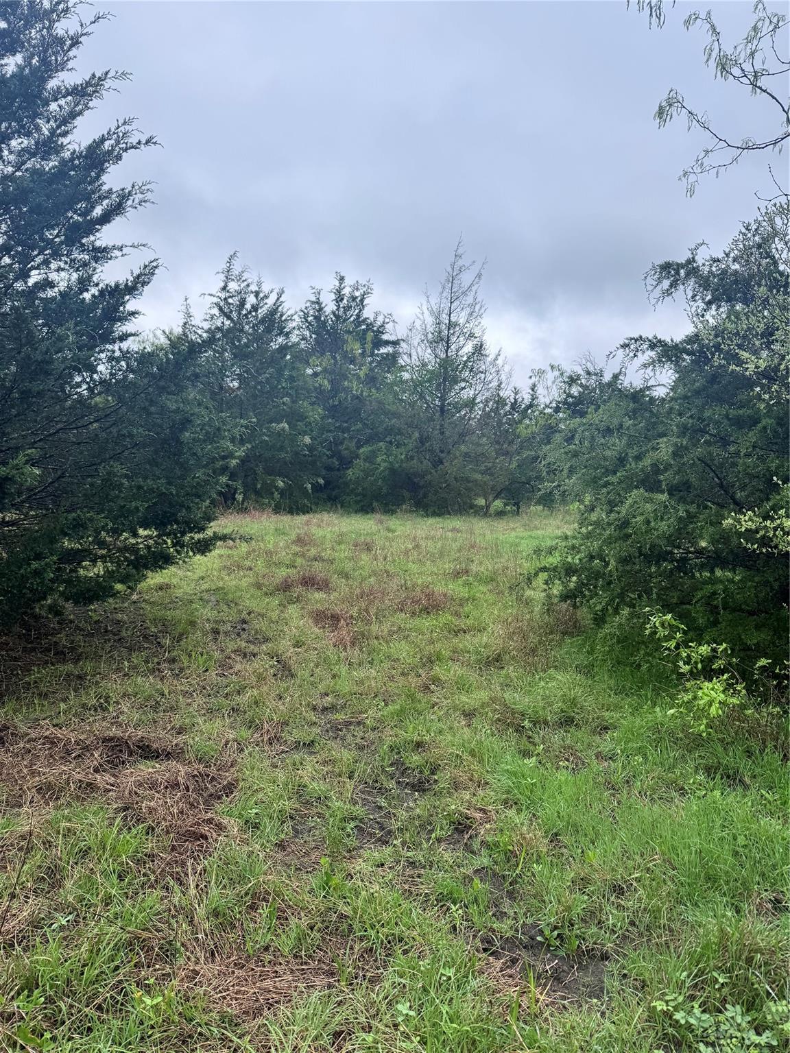 main property photo 13