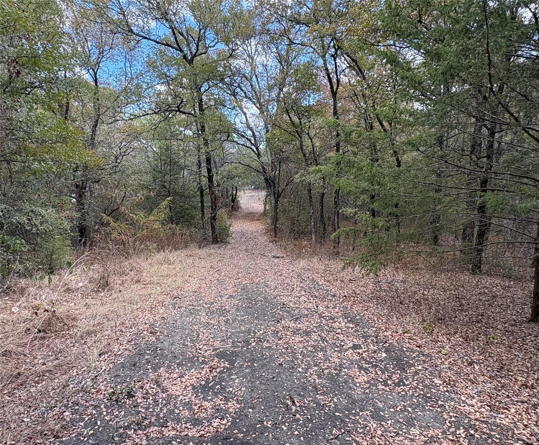 main property photo 8