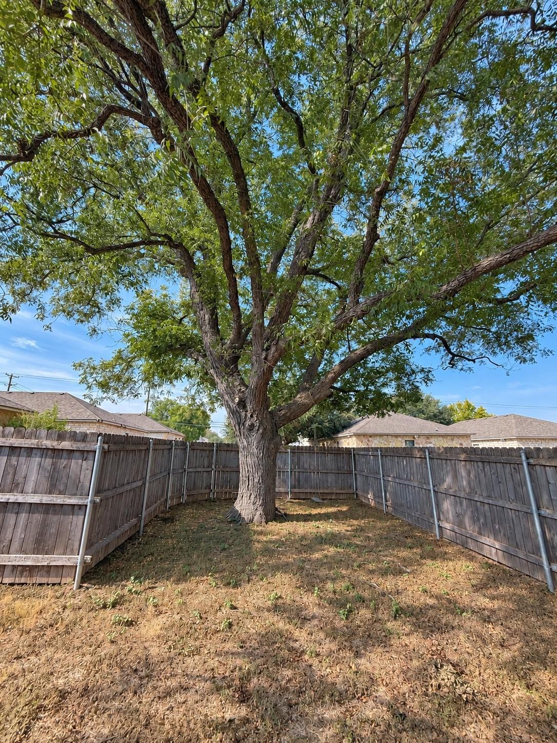 main property photo 31