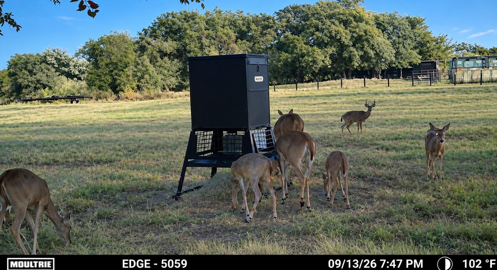 main property photo 37