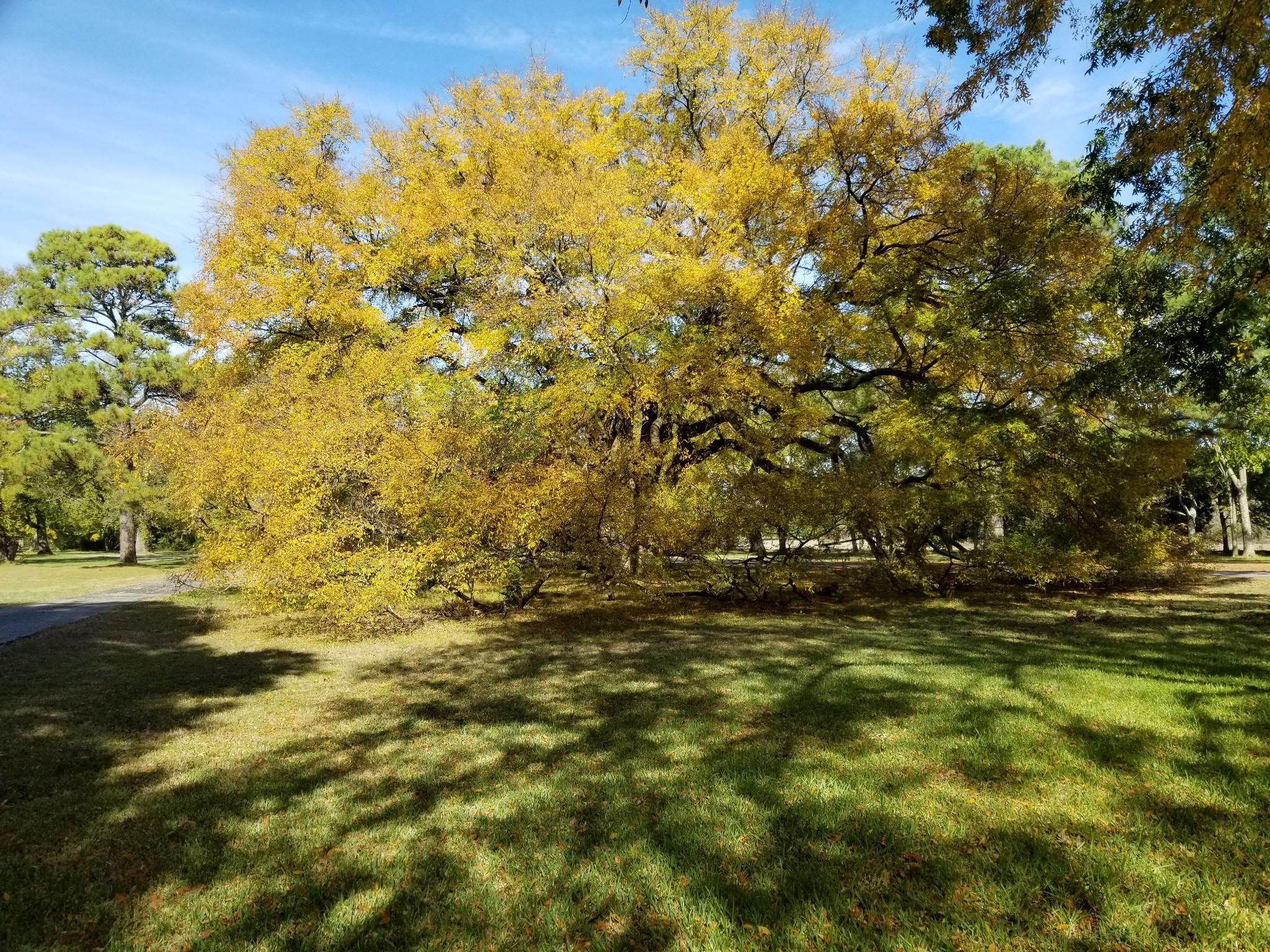 main property photo 29