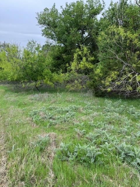 main property photo 14