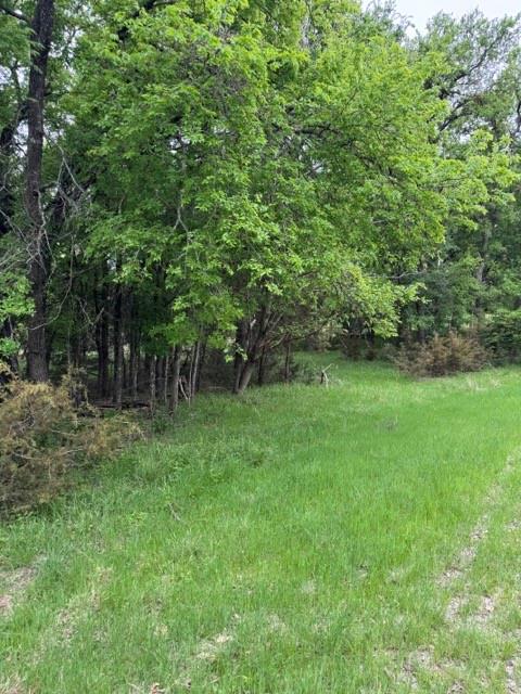 main property photo 4