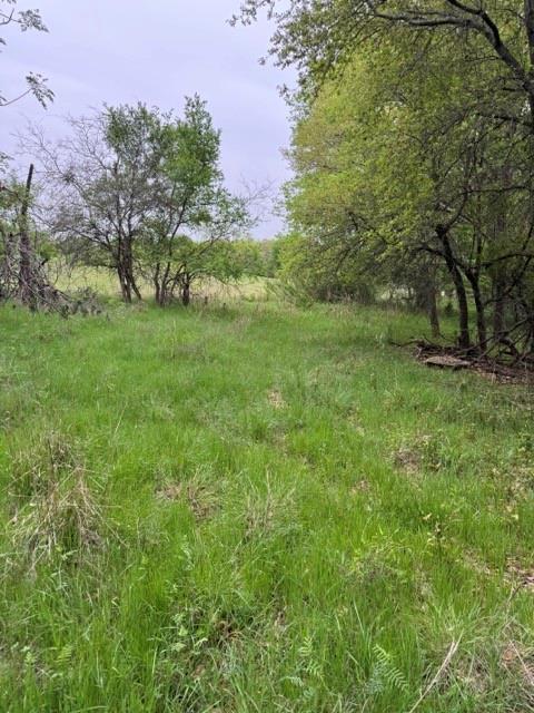 main property photo 9