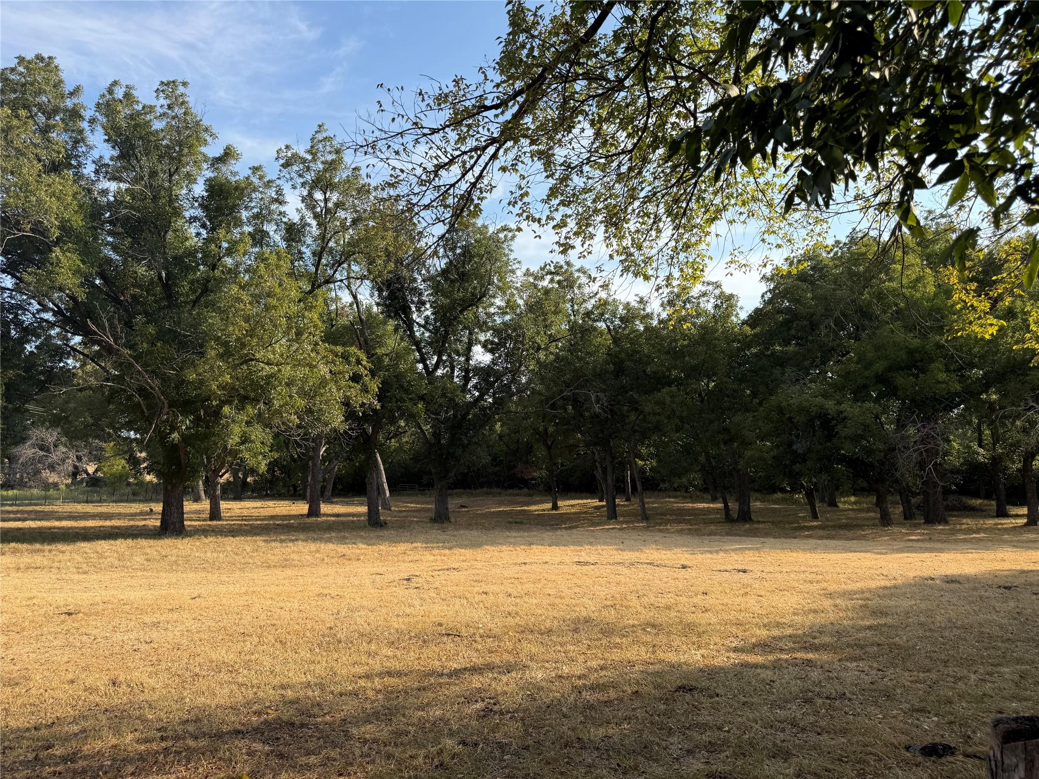 main property photo 10