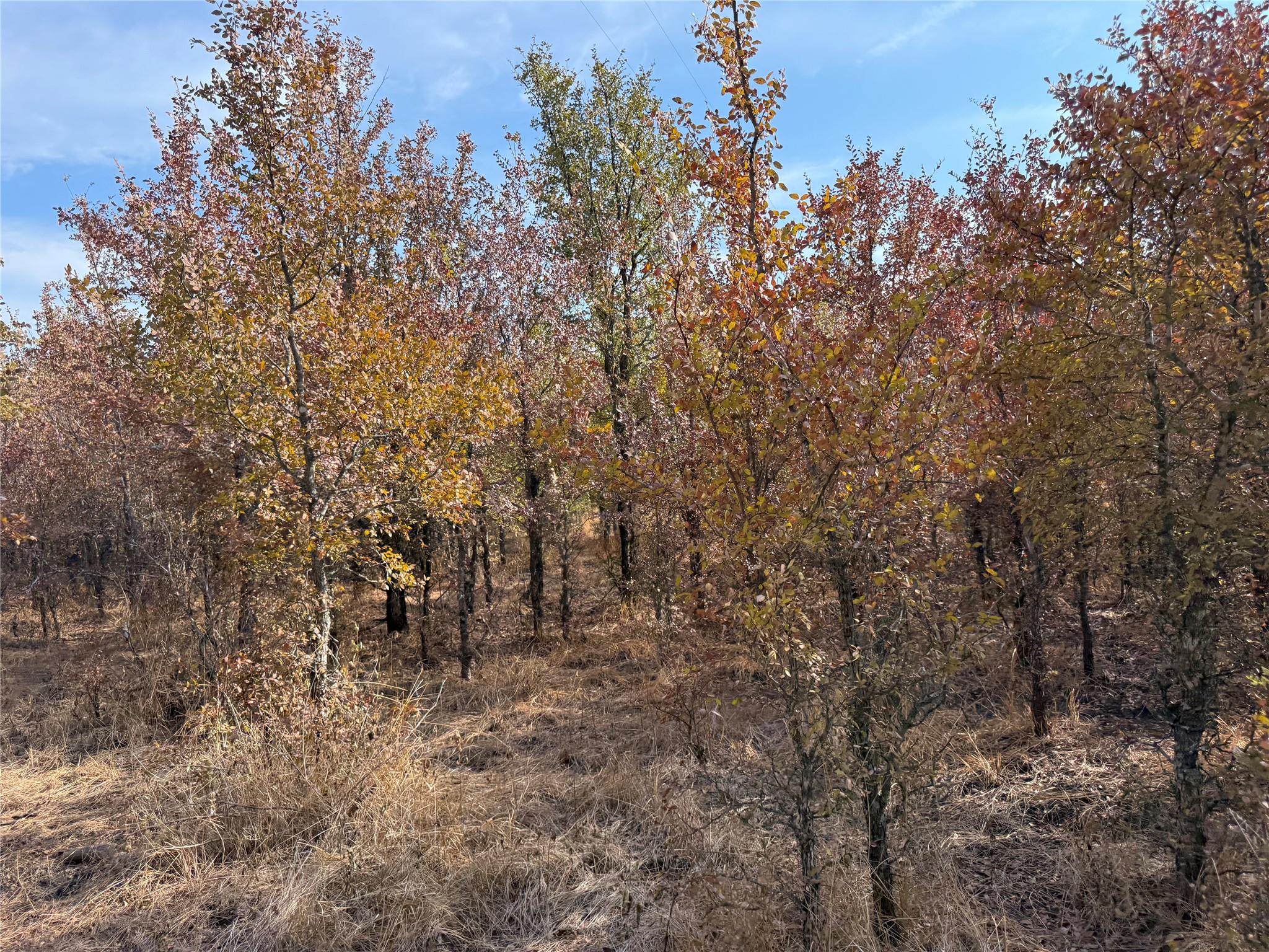 main property photo 17
