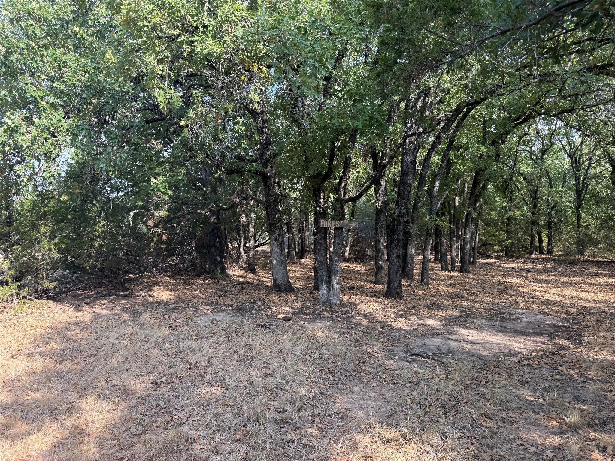 main property photo 18