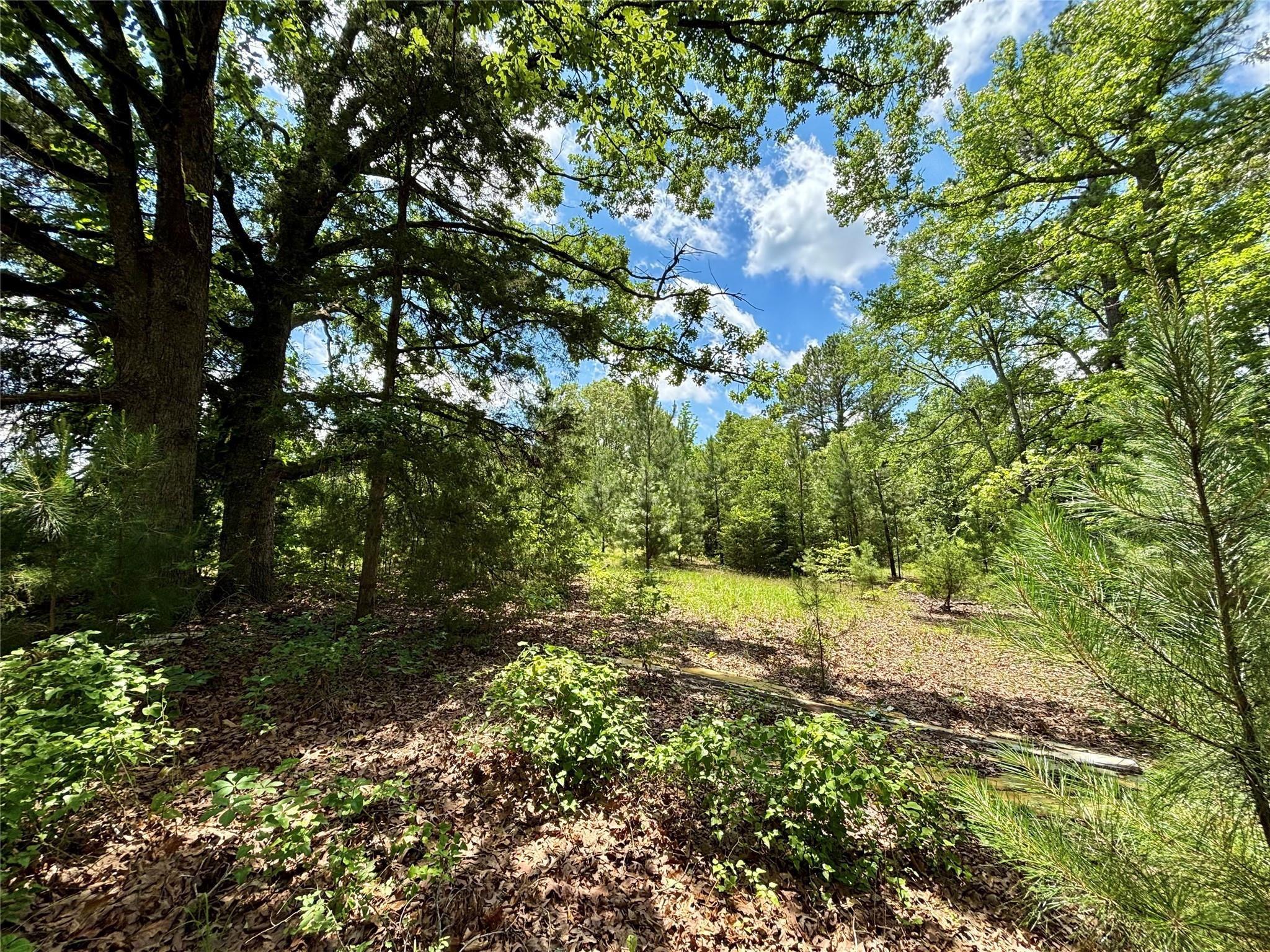 main property photo 26