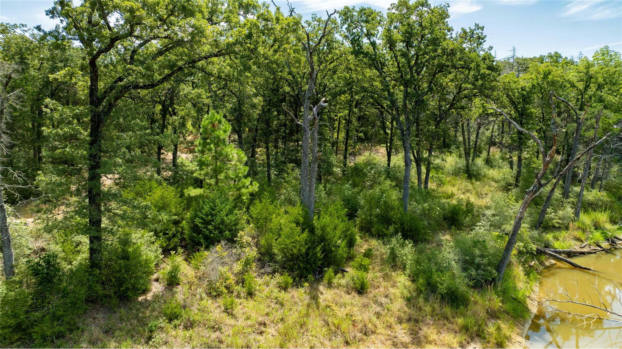main property photo 31
