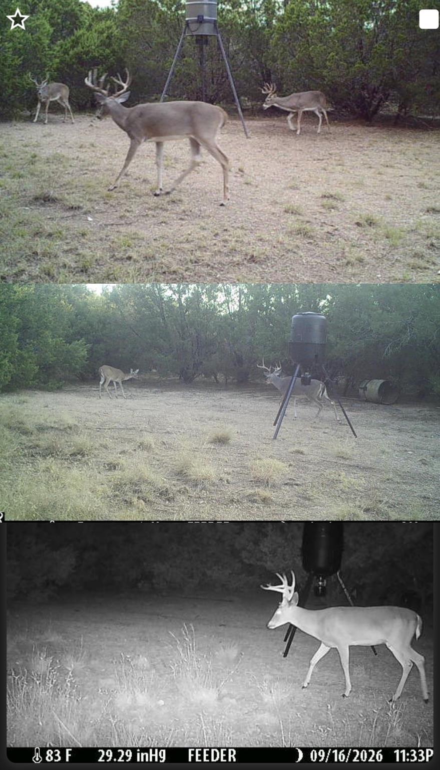 main property photo 37