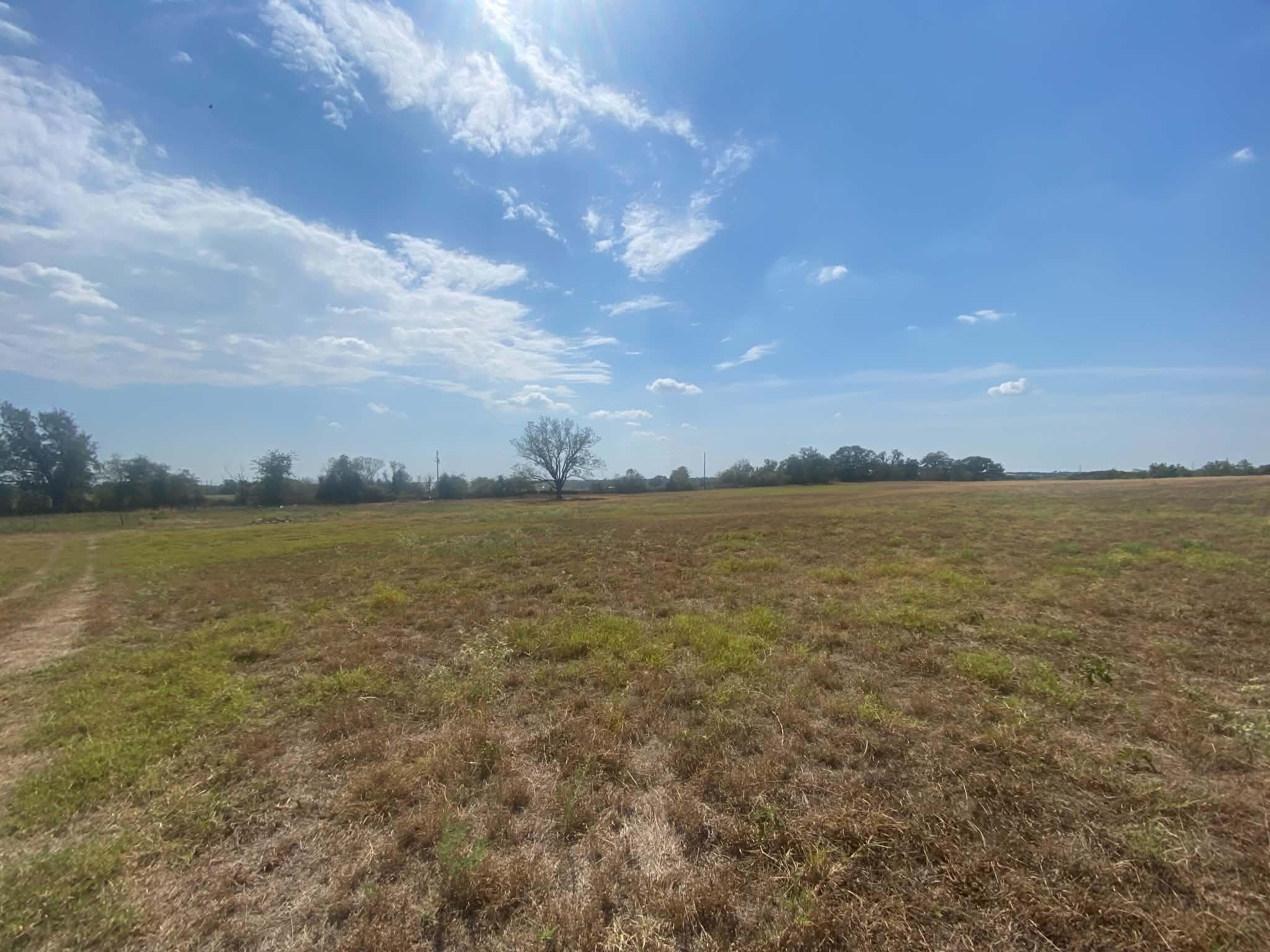 main property photo 10