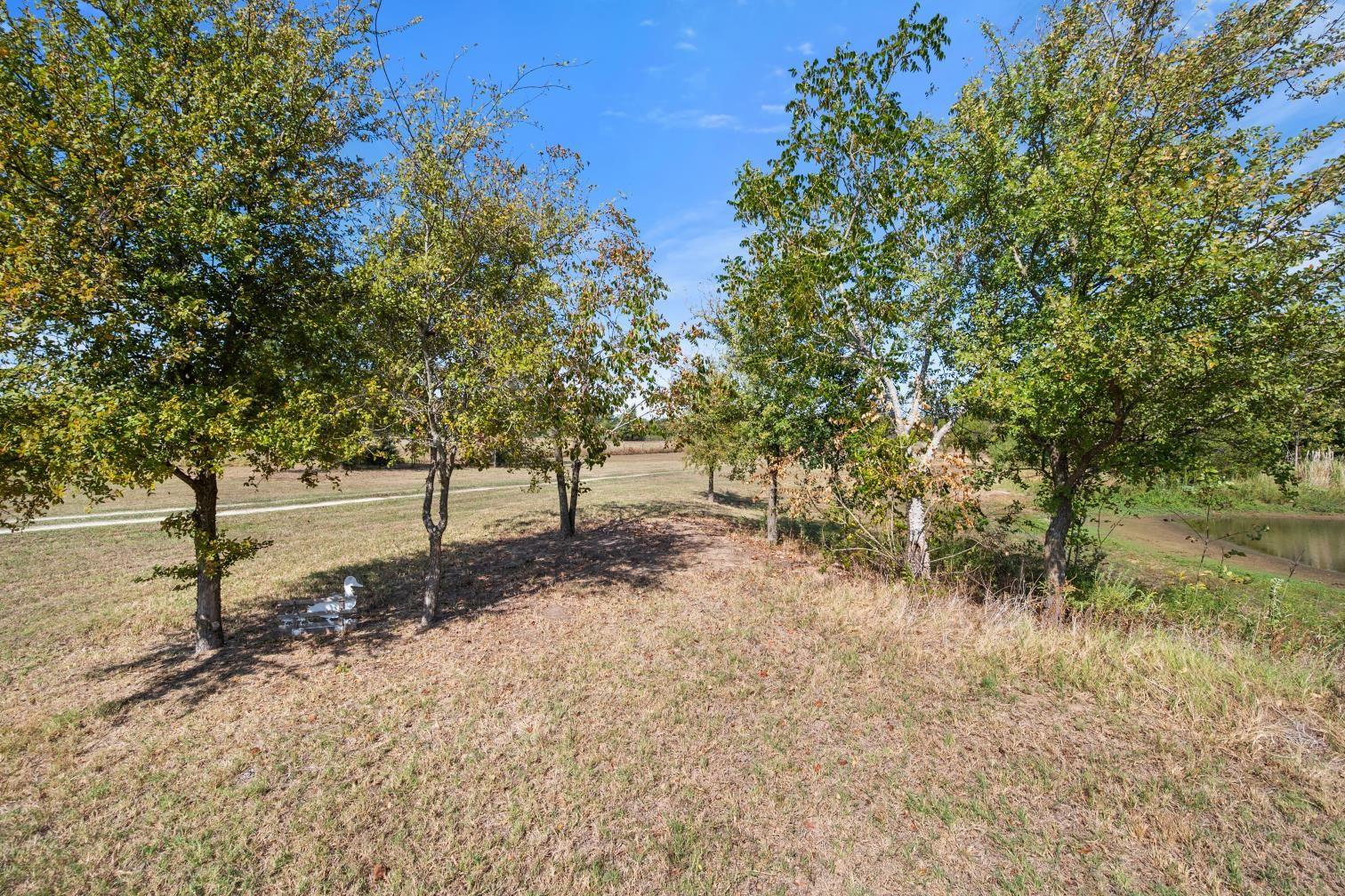 main property photo 33