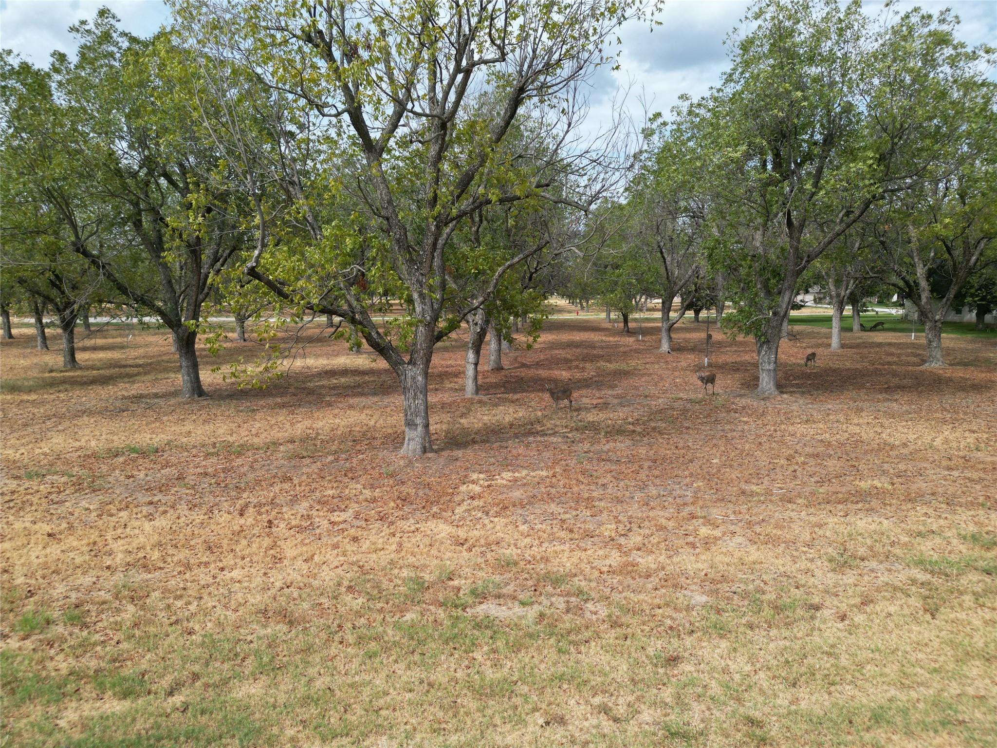 main property photo 11