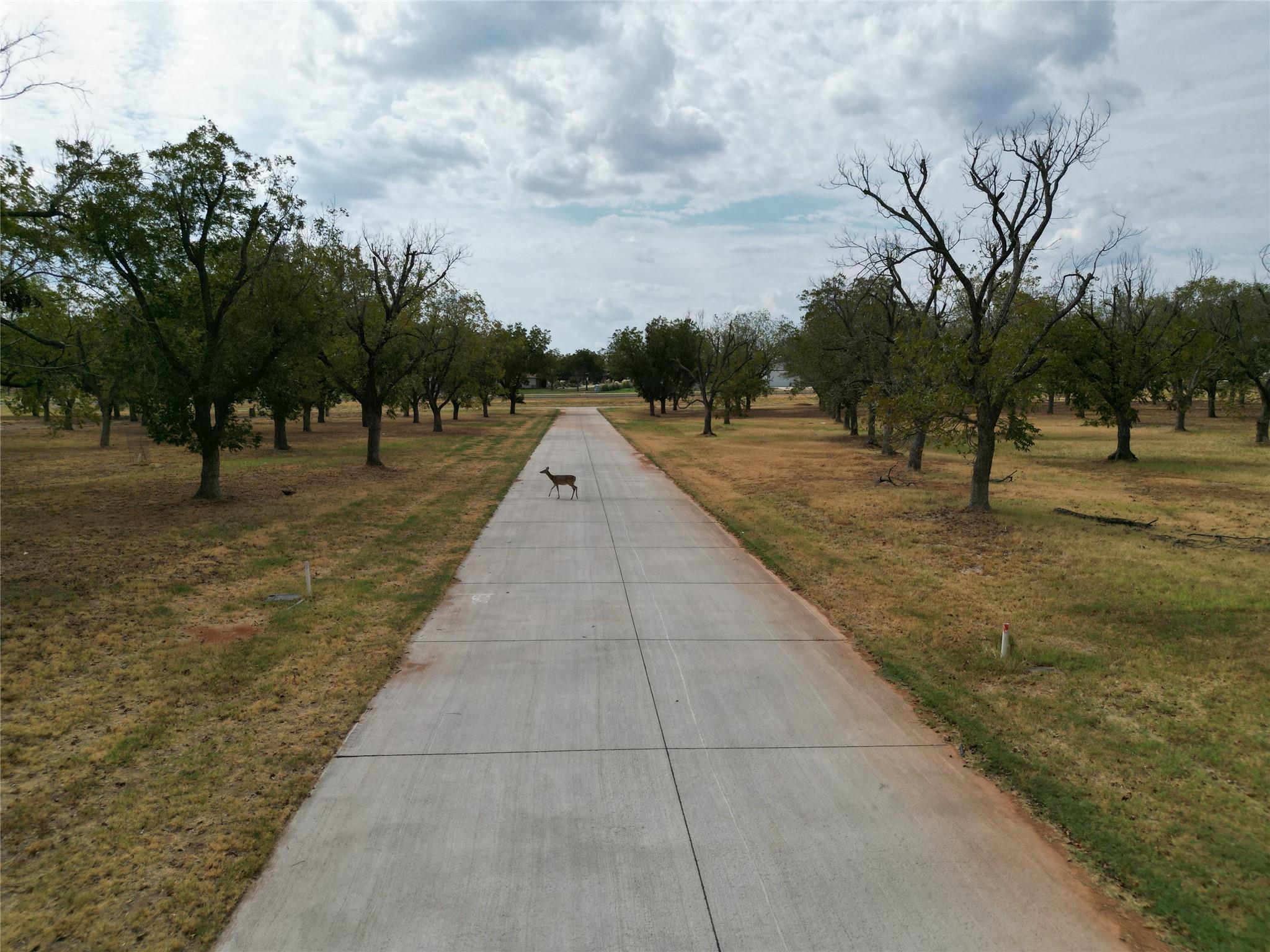 main property photo 12