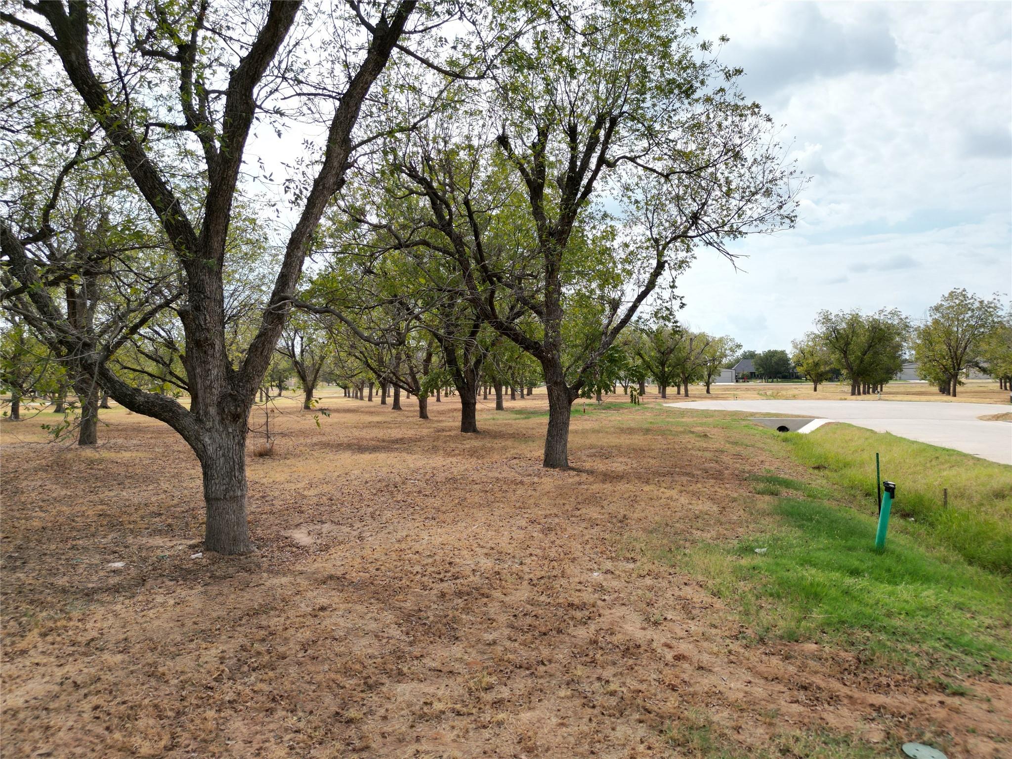 main property photo 15