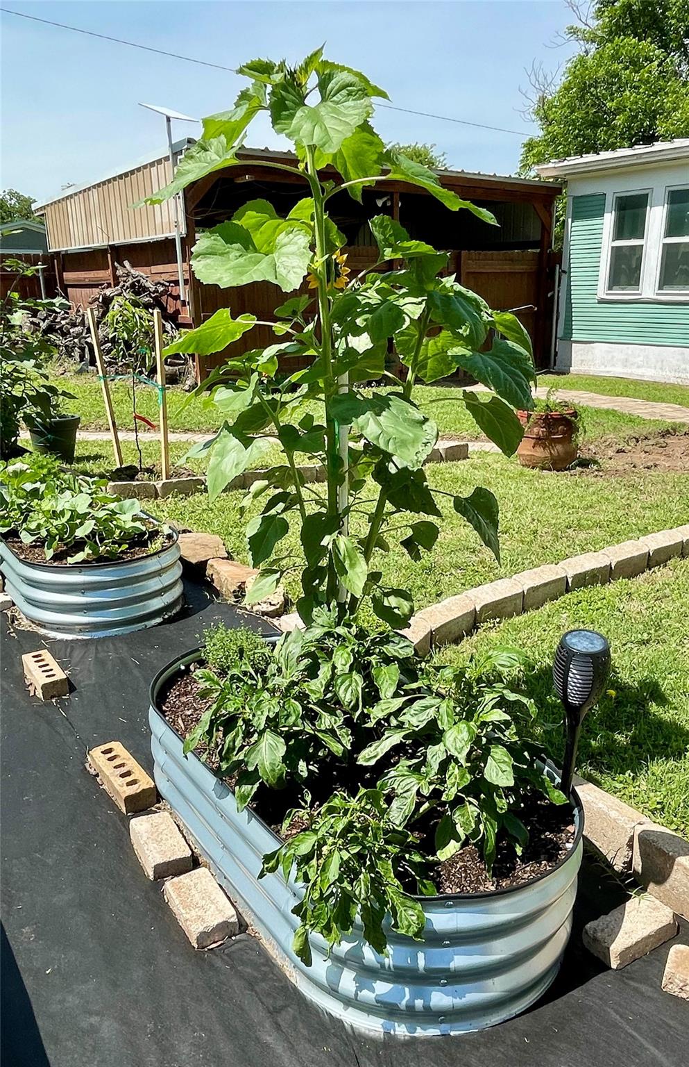 main property photo 39
