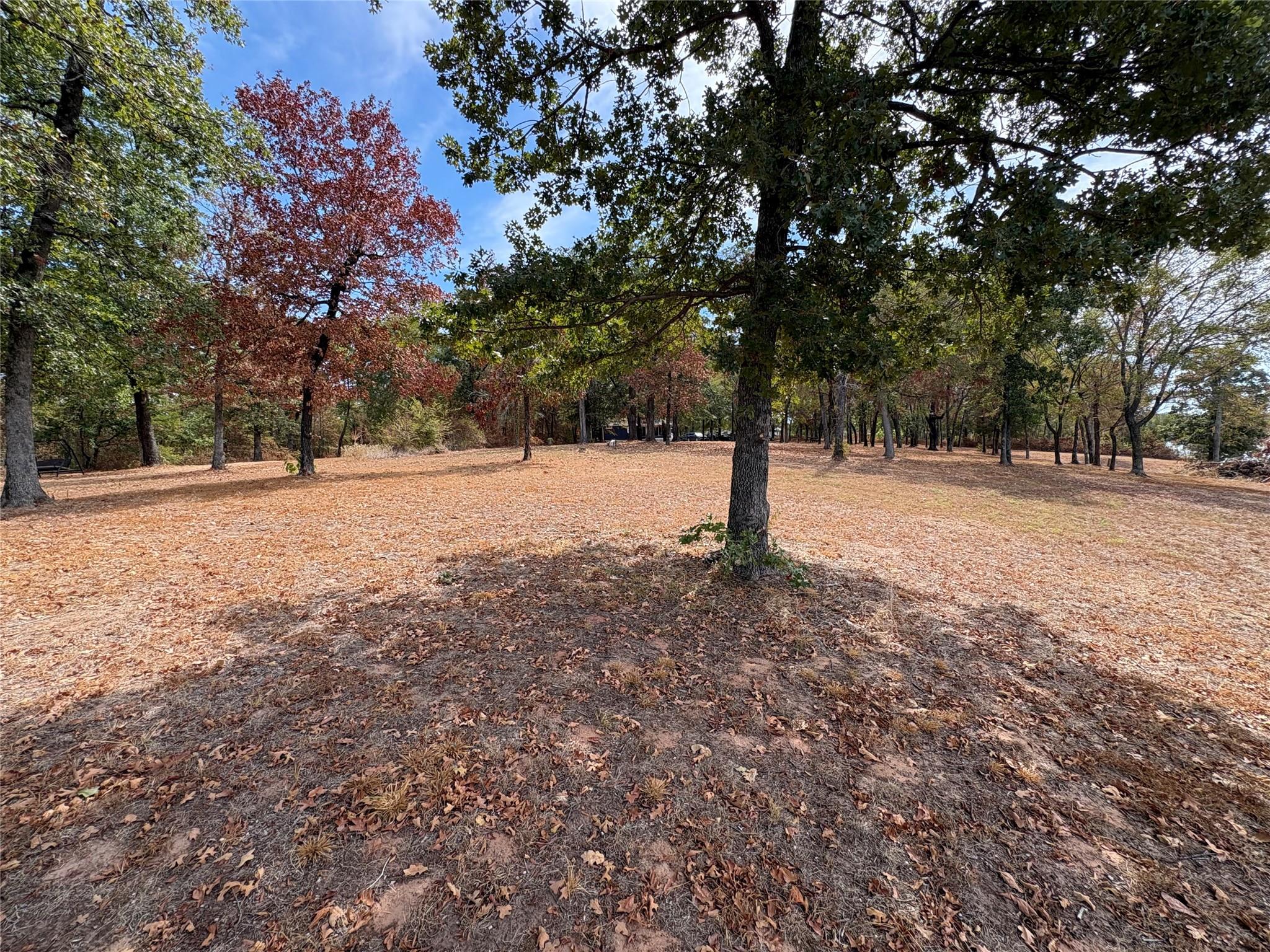 main property photo 19