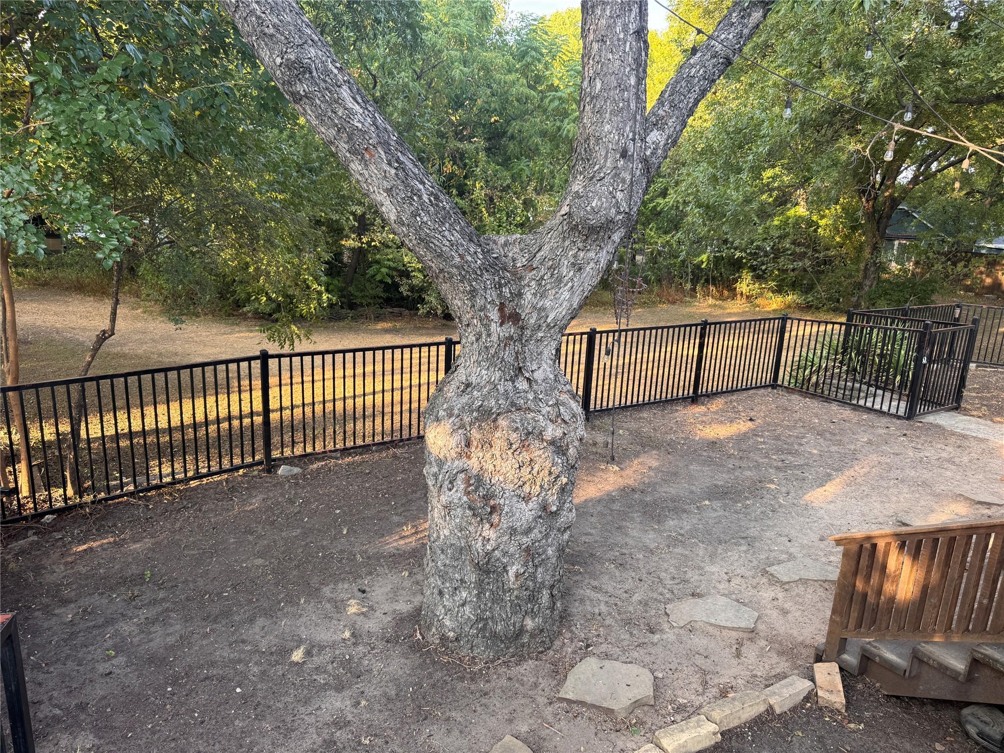 main property photo 22