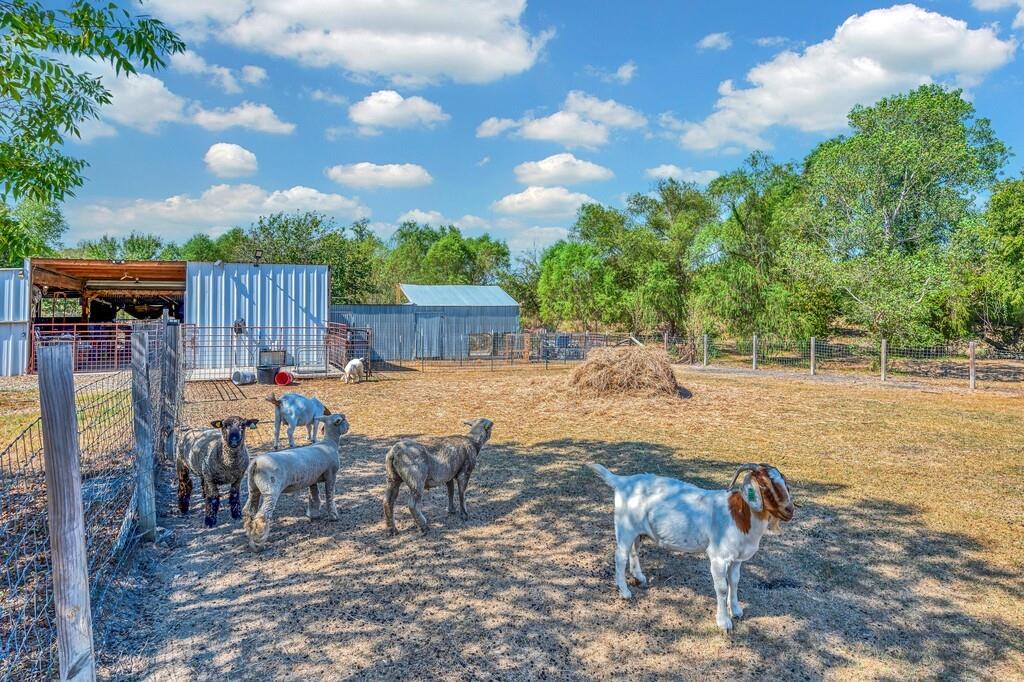 main property photo 29