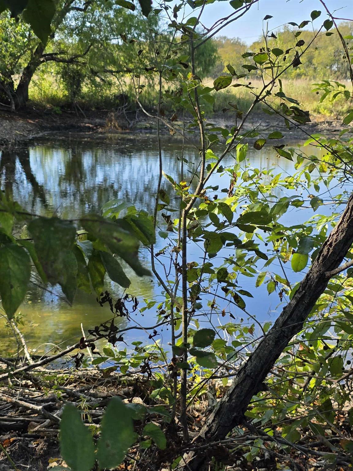 main property photo 11