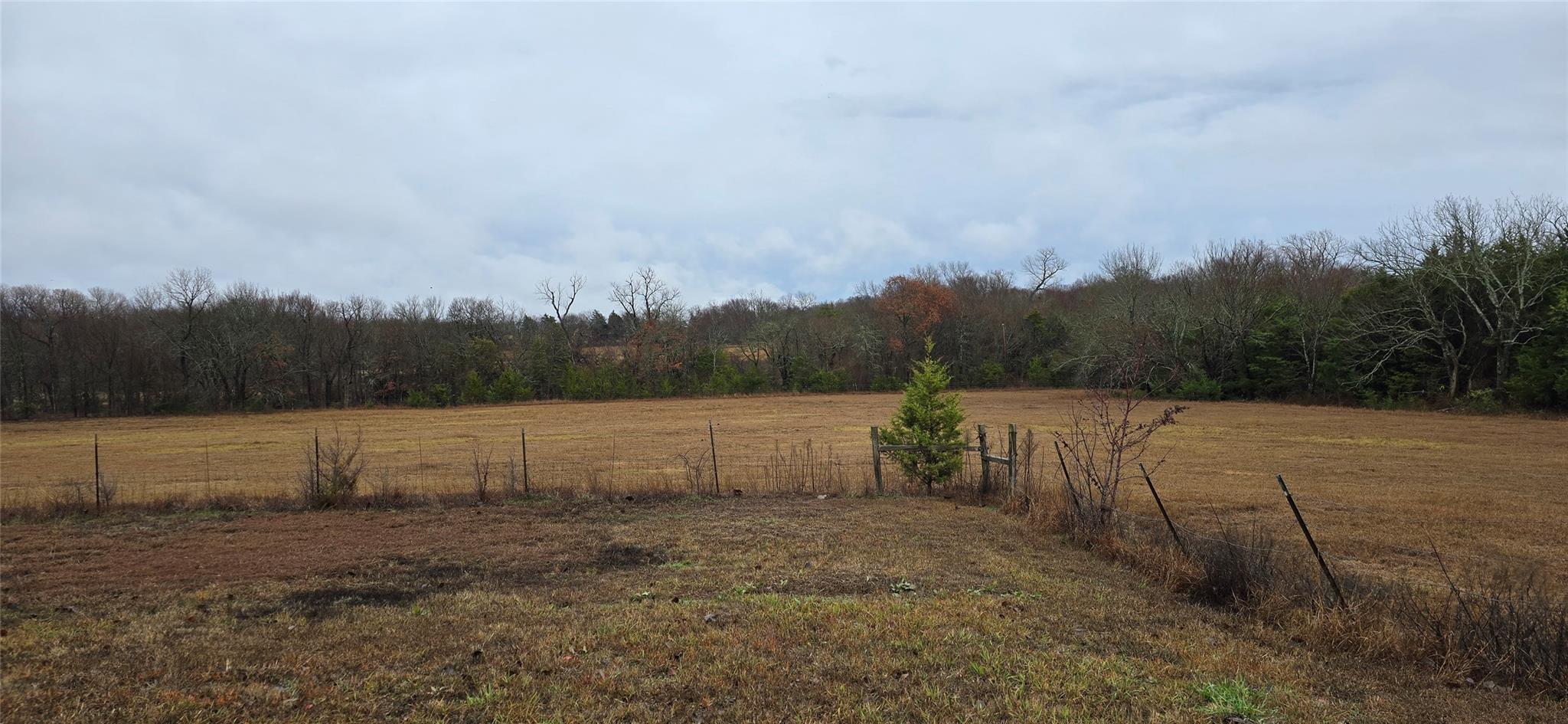 main property photo 21