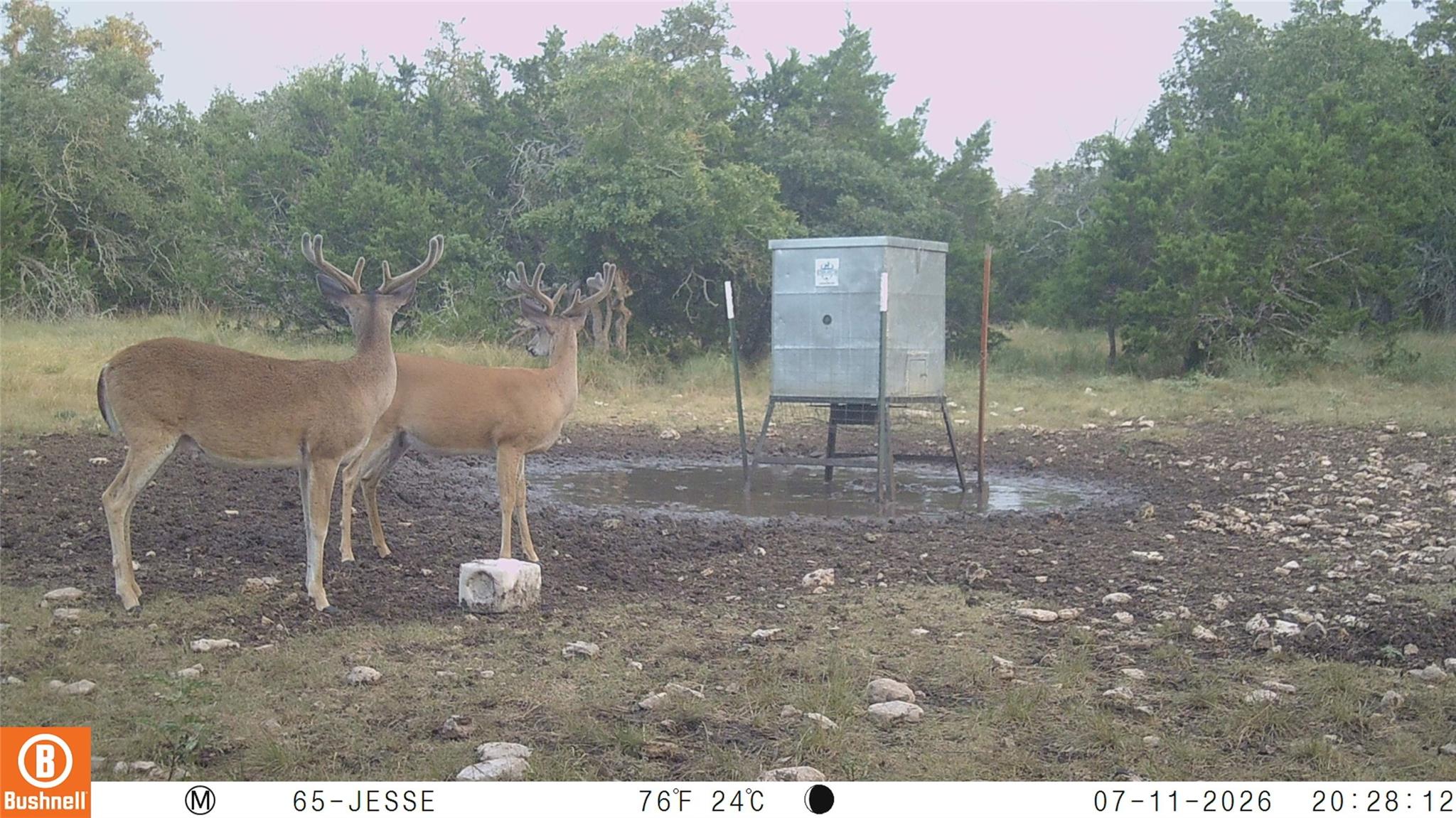main property photo 5