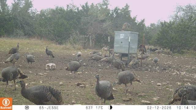 main property photo 7