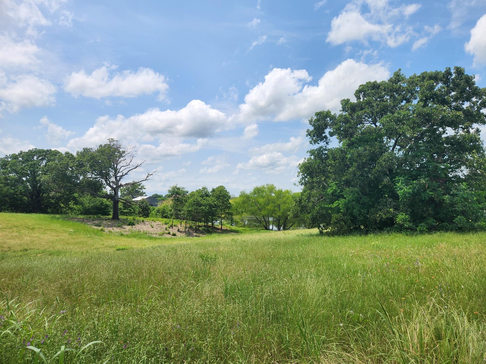 main property photo 10