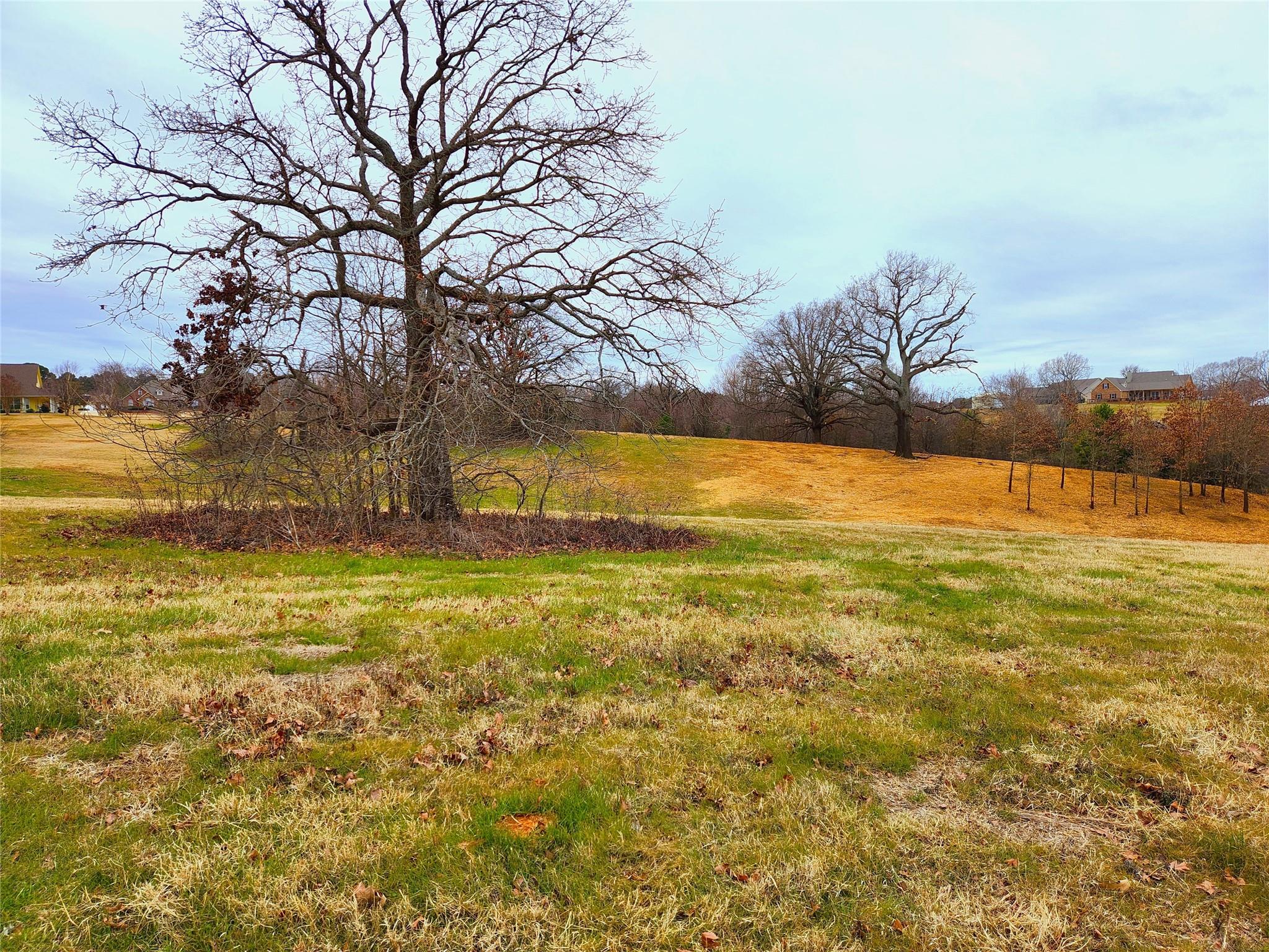 main property photo 18