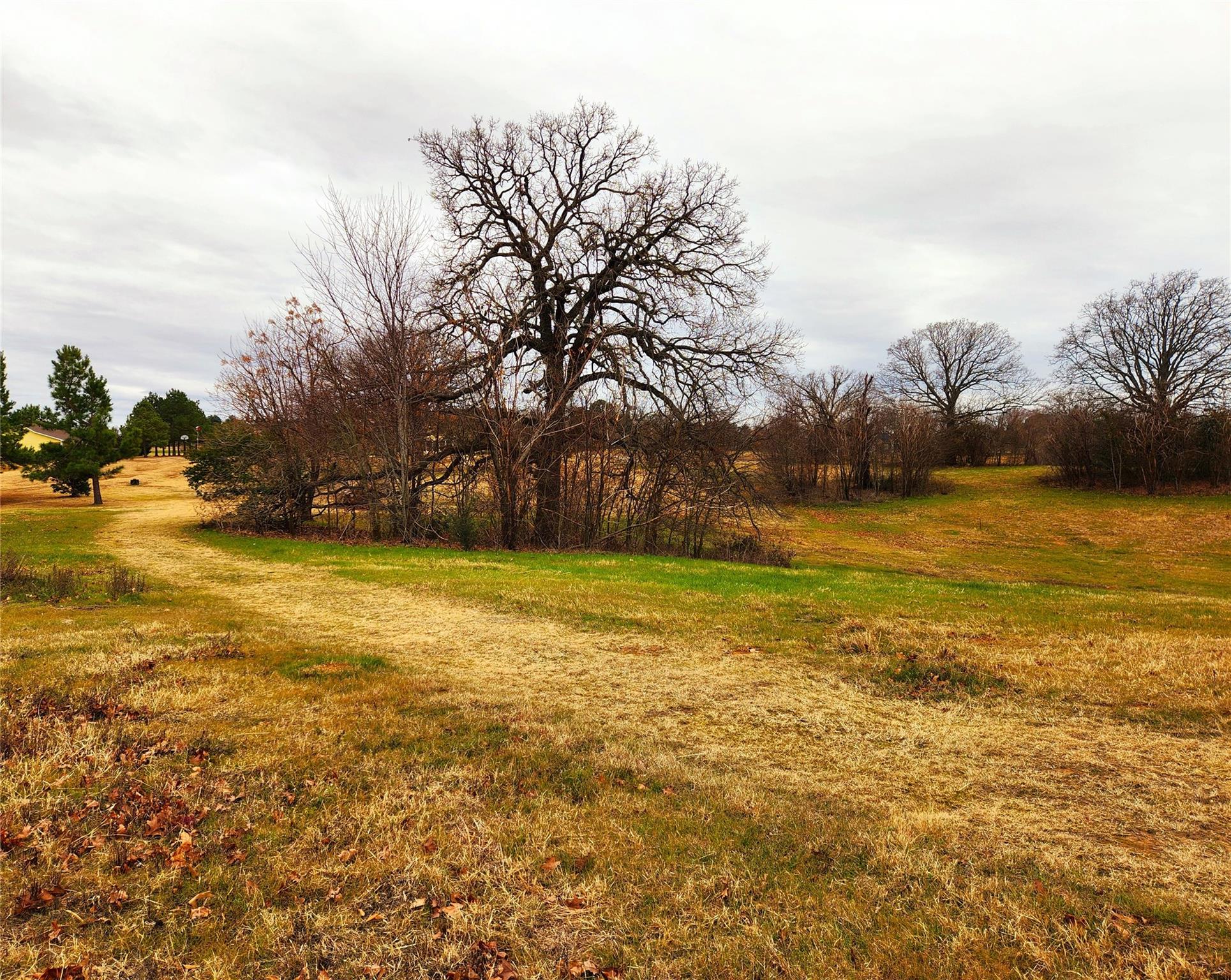 main property photo 25