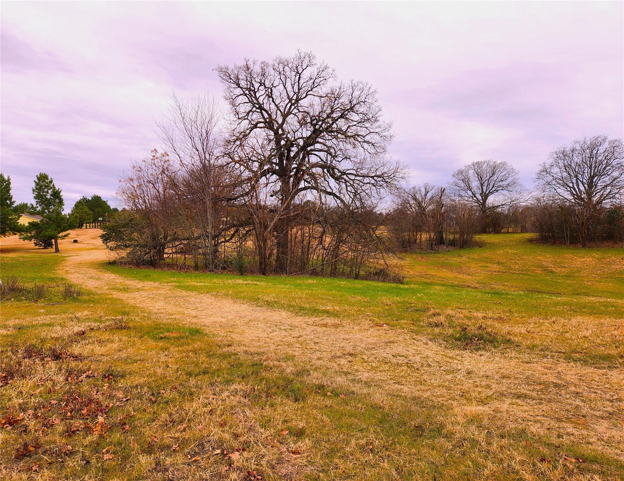 main property photo 26
