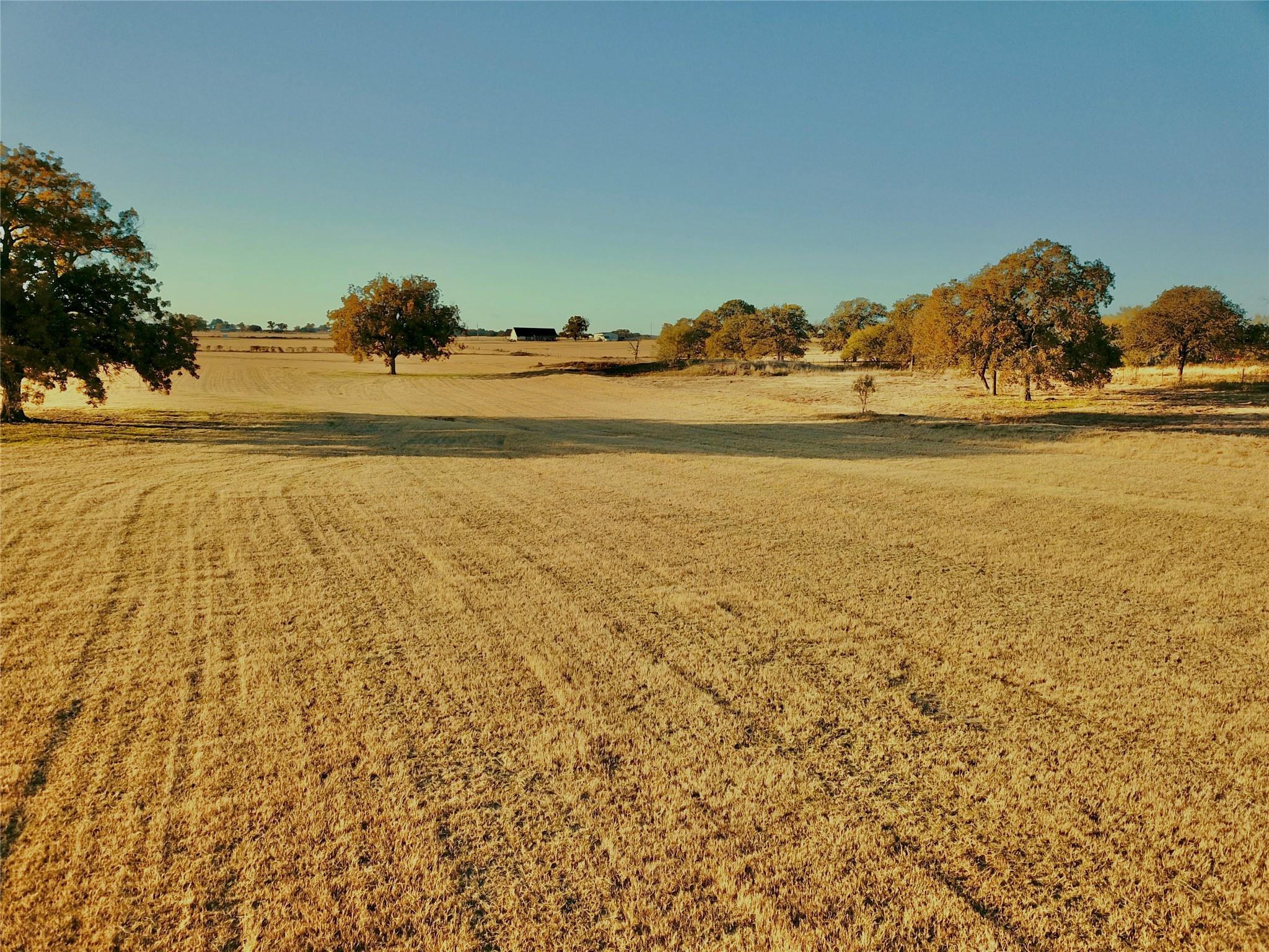 main property photo 36