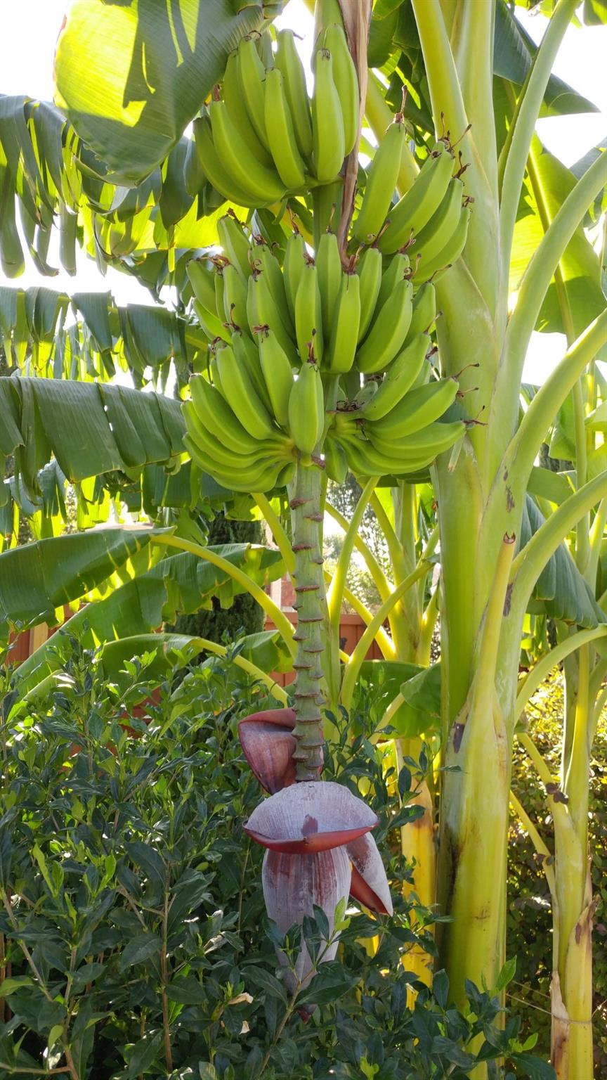 main property photo 28