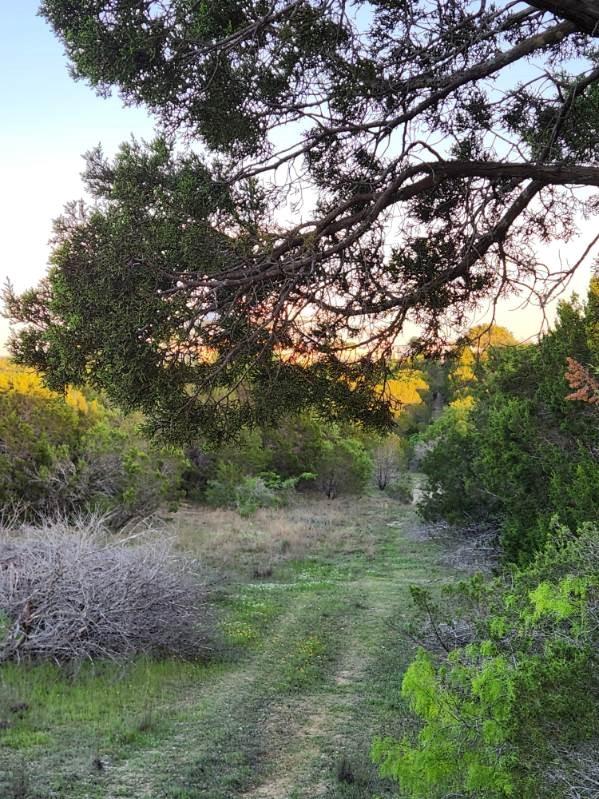 main property photo 11