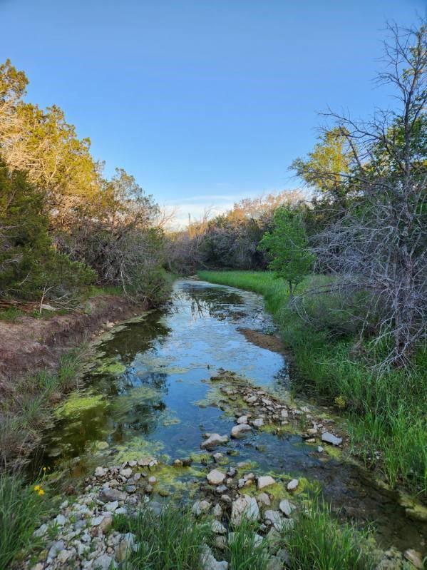 main property photo 14