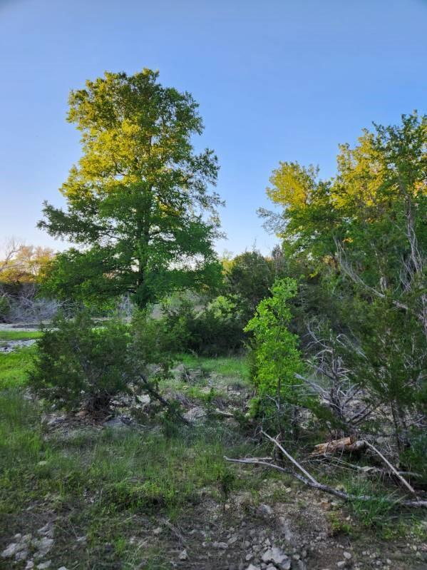 main property photo 18