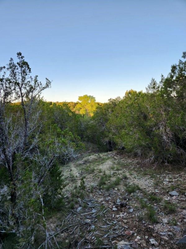 main property photo 25